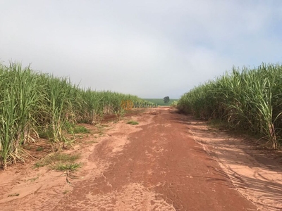 Sítio, 4 quartos, 46 m² - Foto 4