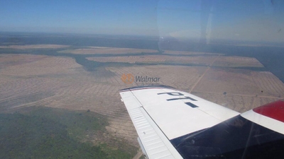 Fazenda-Sítio-Chácara, 2 hectares - Foto 4