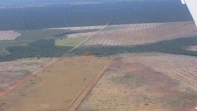 Fazenda-Sítio-Chácara, 2 hectares - Foto 3