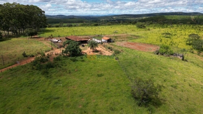 Fazenda-Sítio-Chácara, 1054 m² - Foto 4