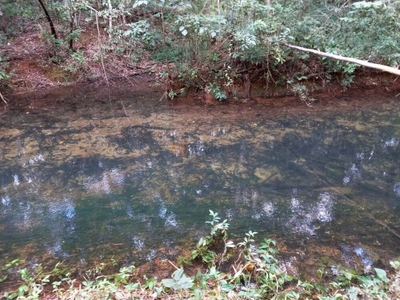 Fazenda-Sítio-Chácara, 1054 m² - Foto 3