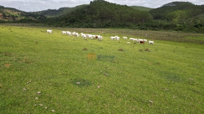 Fazenda-Sítio-Chácara, 540 m² - Foto 5