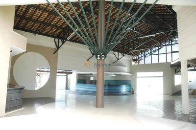 Terreno, 6 hectares - Foto 3