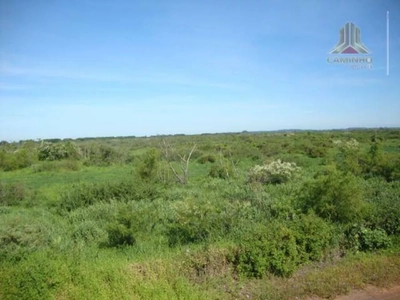 Terreno, 27 hectares - Foto 5