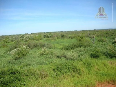 Terreno, 27 hectares - Foto 3