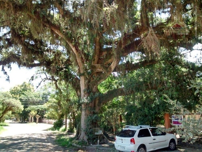 Terreno, 780 m² - Foto 1