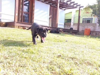 Casa, 2 quartos, 70 m² - Foto 5