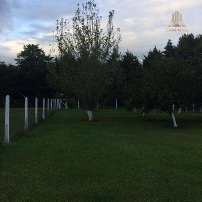 Sítio, 2 quartos, 3 hectares - Foto 5