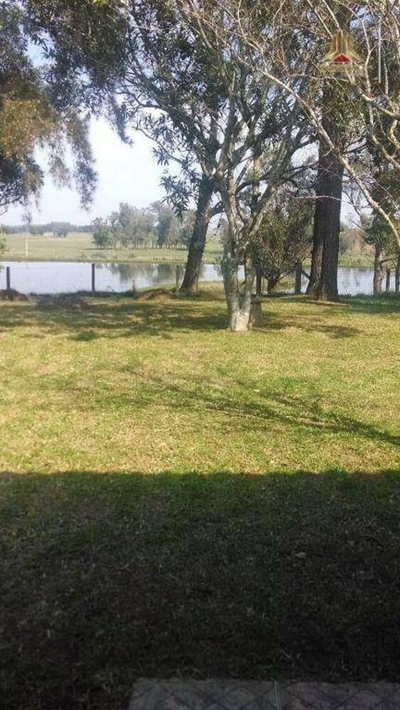 Fazenda-Sítio-Chácara, 60 hectares - Foto 3