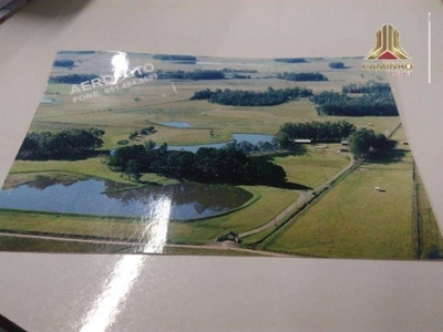 Sítio, 6 quartos, 60 hectares - Foto 3