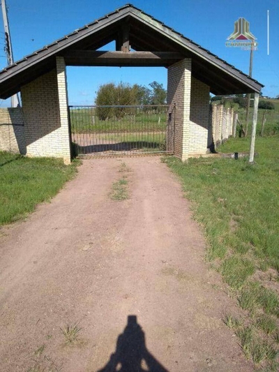 Sítio, 6 quartos, 60 hectares - Foto 4