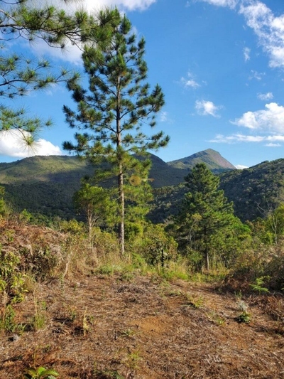 Terreno, 1102 m² - Foto 3