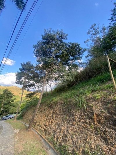 Terreno, 1300 m² - Foto 3