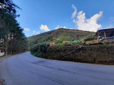 Terreno, 12 hectares - Foto 5