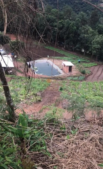 Terreno, 12 hectares - Foto 3