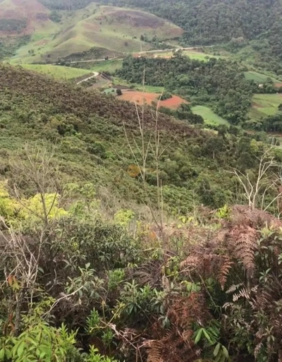 Terreno, 12 hectares - Foto 1