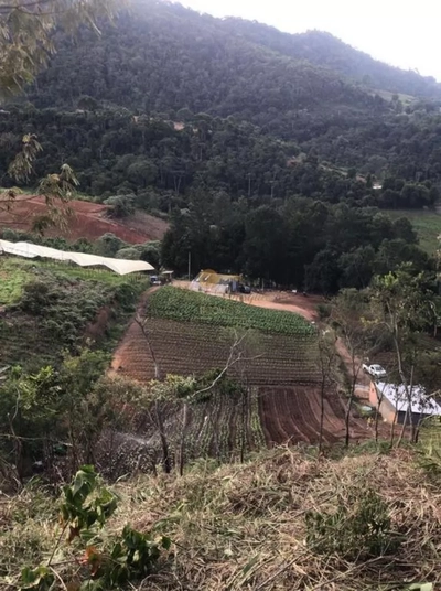 Terreno, 12 hectares - Foto 4