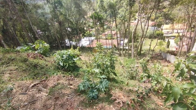 Terreno, 1556 m² - Foto 4