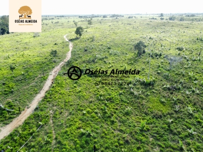 Fazenda-Sítio-Chácara - Foto 3