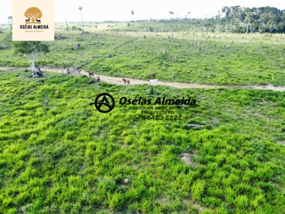 Fazenda-Sítio-Chácara - Foto 4