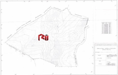 Terreno, 3 hectares - Foto 4