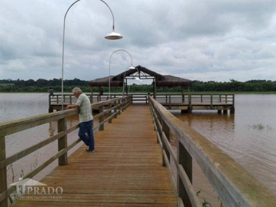 Chácara, 1000 m² - Foto 4