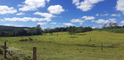 Chácara, 1 quarto, 2 hectares - Foto 2