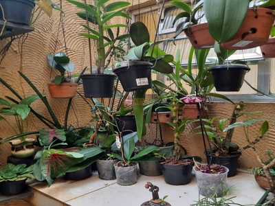 Casa, 3 quartos, 291 m² - Foto 4