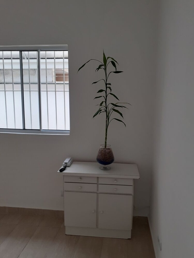 Sala-Conjunto, 8 m² - Foto 3