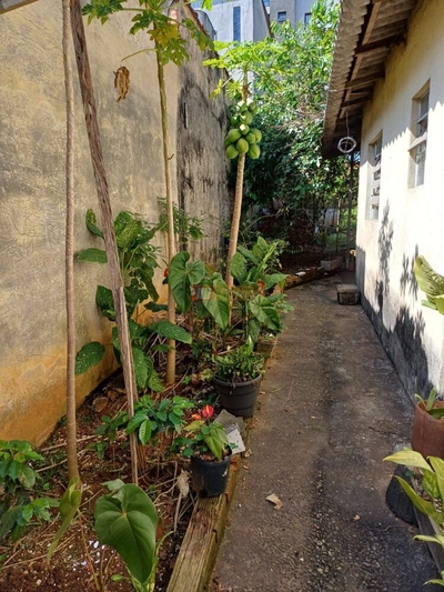 Terreno, 240 m² - Foto 3