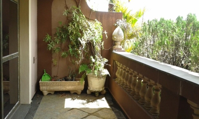 Imóvel Comercial - Foto 3