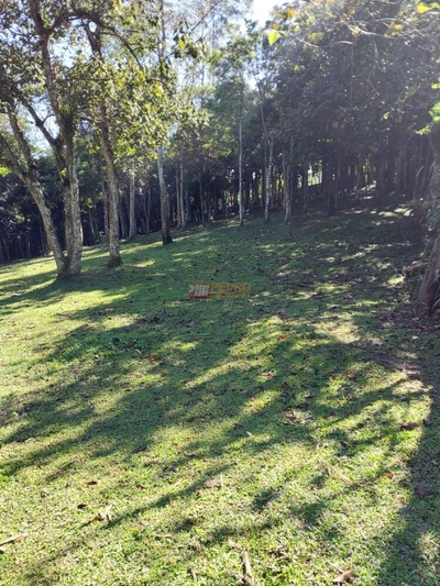 Terreno, 1399 m² - Foto 2