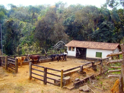 Fazenda-Sítio-Chácara, 146 hectares - Foto 4