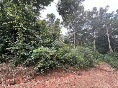 Terreno, 1000 m² - Foto 1