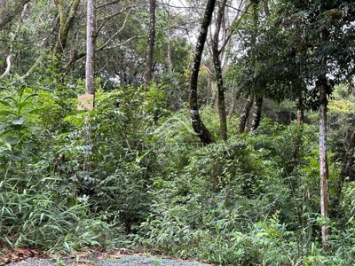 Terreno, 1000 m² - Foto 4