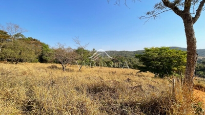 Terreno, 2 hectares - Foto 2