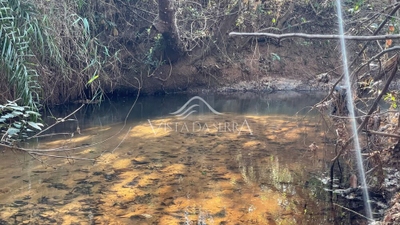 Terreno, 2 hectares - Foto 5