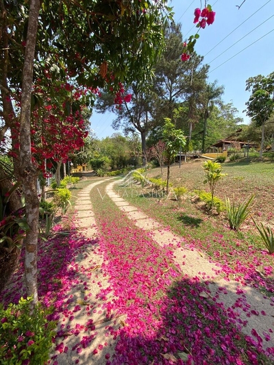 Sítio, 4 quartos, 10000 m² - Foto 2