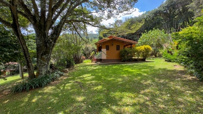 Chácara, 3 quartos, 3 hectares - Foto 4