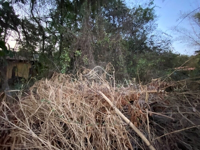 Terreno, 1000 m² - Foto 5