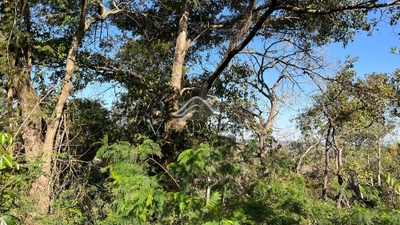 Terreno, 1150 m² - Foto 5