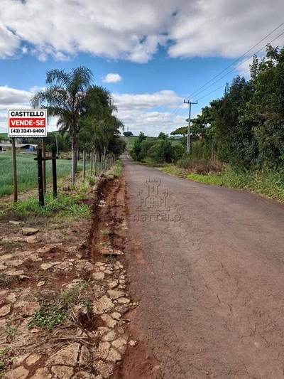 Sítio, 20 m² - Foto 2