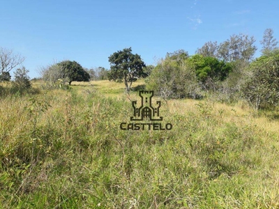 Sítio, 2 quartos, 7 hectares - Foto 3