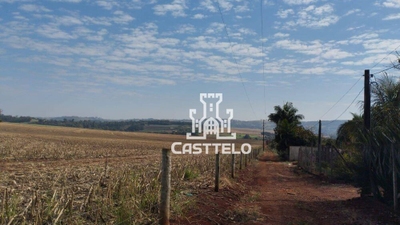 Chácara, 3 quartos, 2228 m² - Foto 2