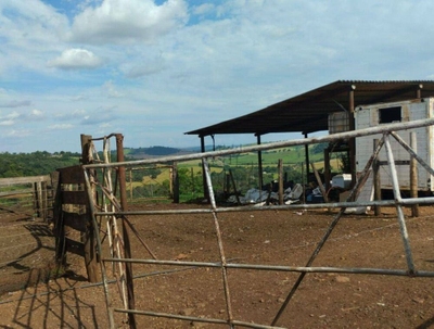 Terreno, 73 hectares - Foto 2