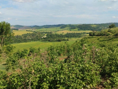 Terreno, 73 hectares - Foto 4