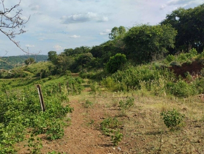 Terreno, 73 hectares - Foto 3