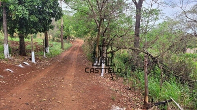 Chácara, 1 quarto, 6050 m² - Foto 2