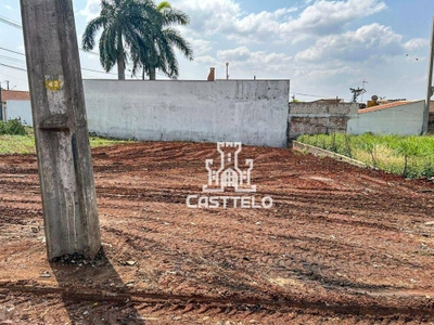 Terreno, 200 m² - Foto 3