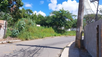 Terreno, 6700 m² - Foto 3